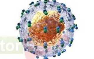 Антитела к вирусу гепатита с