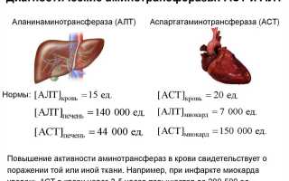 Алт и аст анализ в крови